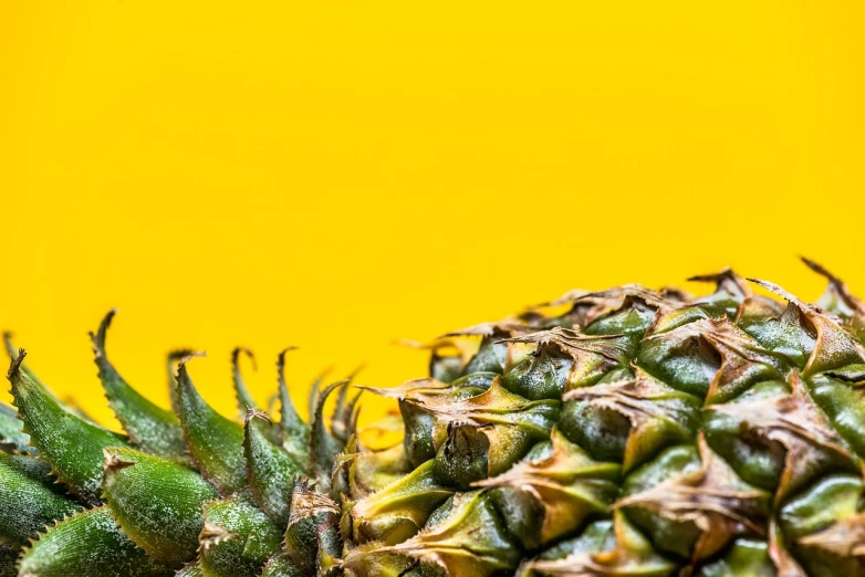 a close up of a pineapple on a yellow background, a stock photo, by Richard Carline, pexels, hyperrealism, view from the side”, background image, 🦩🪐🐞👩🏻🦳, vivid colours. sharp focus. wow!