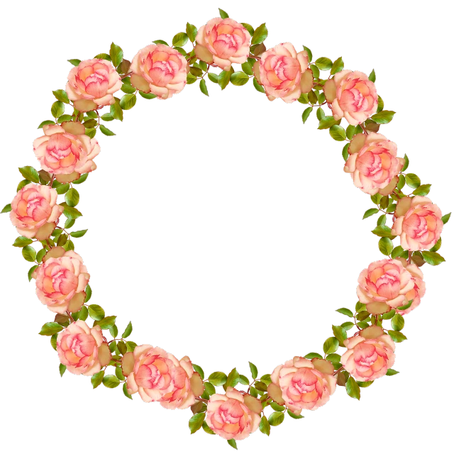 a wreath of pink roses on a black background, a digital rendering, by Gusukuma Seihō, flickr, round background, peach embellishment, romantic simple path traced, image dataset