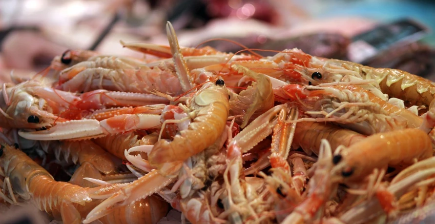 a pile of shrimp sitting on top of a table, by Dietmar Damerau, crabs, closeup at the food, high quality product image”