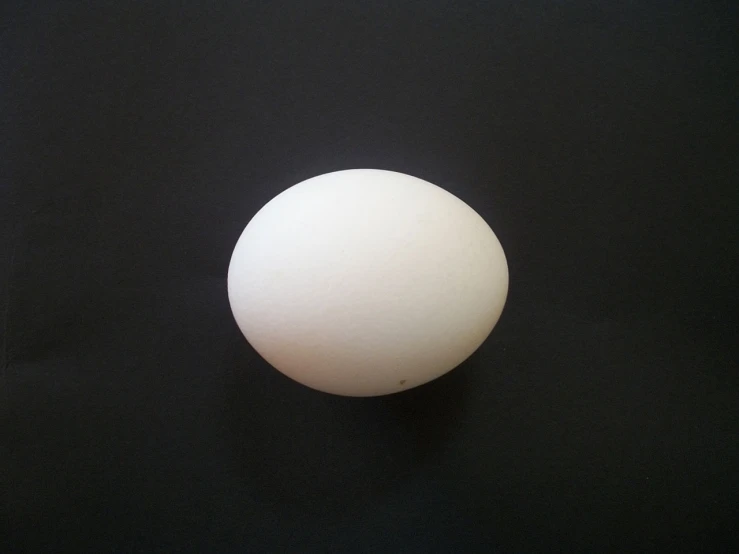 a white egg sitting on top of a black table, a picture, flickr, high detail product photo, bird\'s eye view, front side full, pale milky white porcelain skin