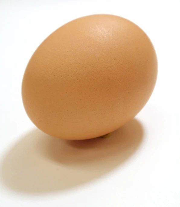a brown egg sitting on top of a white table, flickr, high res photo, side - view, wikimedia, bald