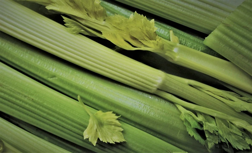 a pile of celery stalks sitting on top of each other, a picture, pexels, renaissance, de tomaso, sukkot, masterful composition, very crisp details