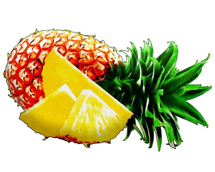 a pineapple and a half of a pineapple, a digital rendering, by Allen Jones, digital art, posterized color, amazing food illustration, bright on black, header