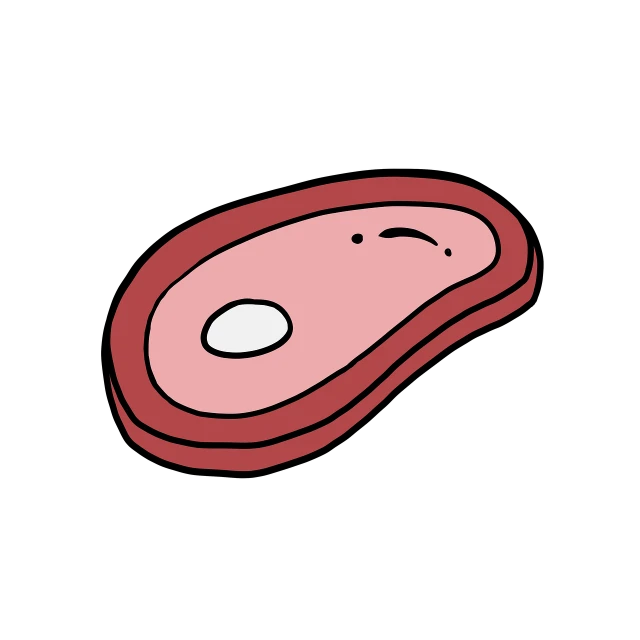 a piece of meat on a black background, an illustration of, tumblr, cartoonish graphic style, without eyebrows, birdseye view, flat colour