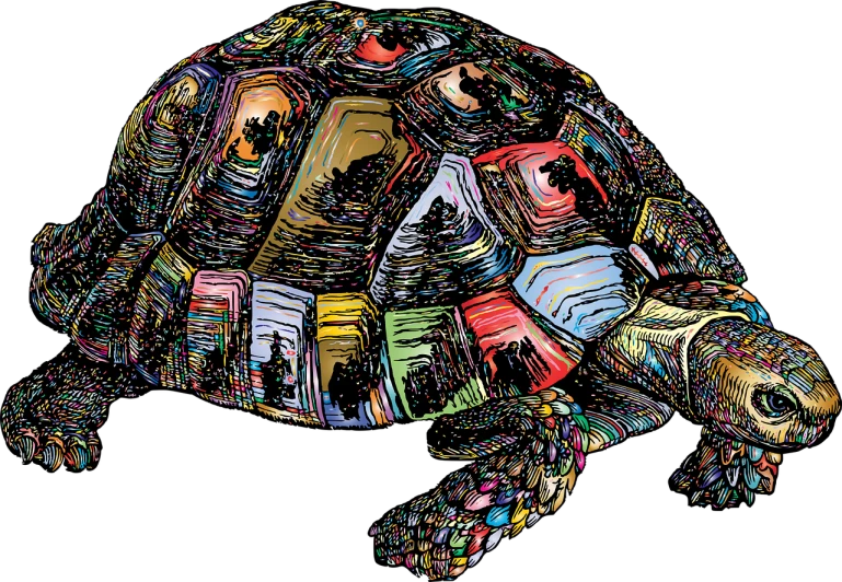 a close up of a turtle on a black background, an illustration of, generative art, books, multi - coloured, old internet art, junk