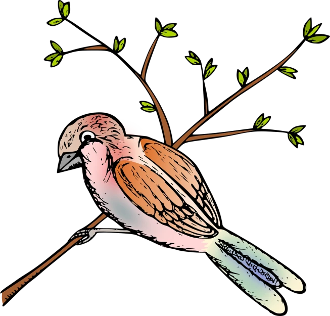 a bird sitting on a branch of a tree, an illustration of, sots art, on black background, full color illustration, serene illustration