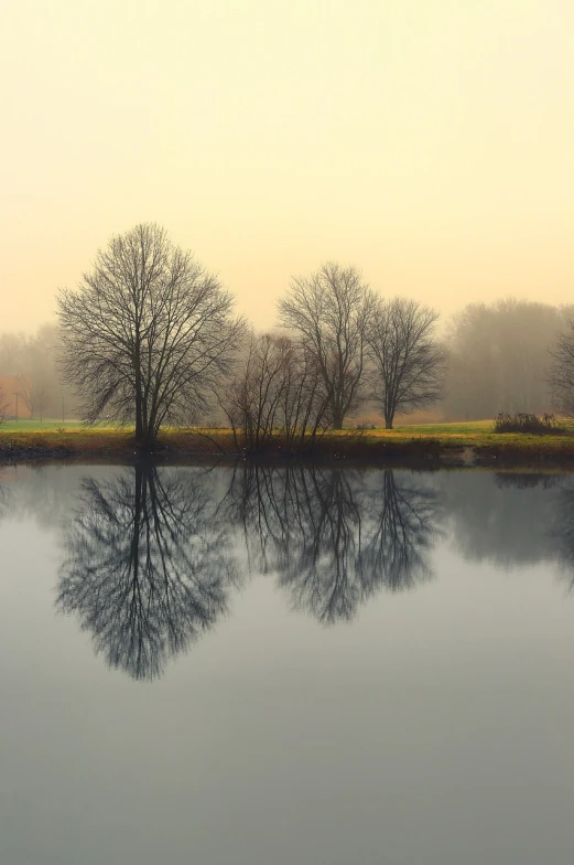 a body of water surrounded by trees on a foggy day, a picture, by Leon Chwistek, symmetry!, romantic landscape, beside the river, mirroring