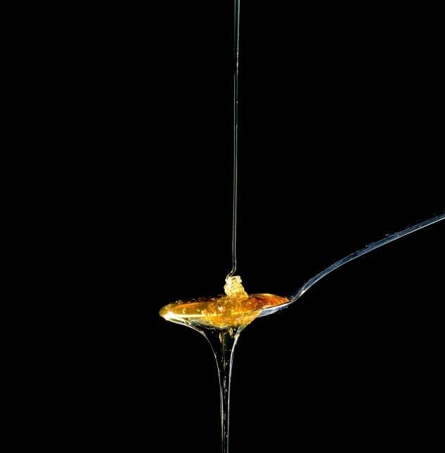a spoon that has some food on it, a microscopic photo, hurufiyya, honey dripping, shot at dark with studio lights, 14k gold wire, dsrl photo