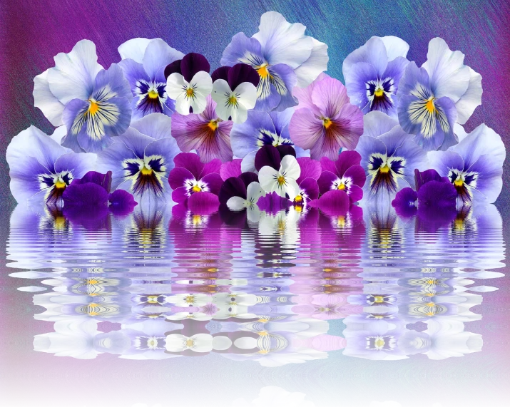 a group of pansies are reflected in the water, a digital painting, by Henryka Beyer, shutterstock, full of colour 8-w 1024, floral pattern, collage art background, purple blue color scheme