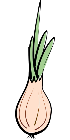 an orange onion on a black background, a drawing, inspired by Carpoforo Tencalla, reddit, conceptual art, it\'s name is greeny, cartoonish and simplistic, carrot, animation style