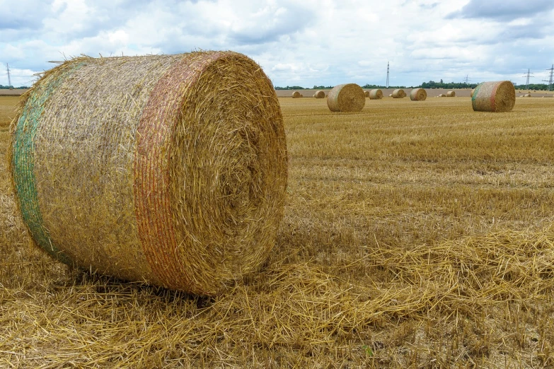 a large bale of hay sitting in a field, a stock photo, by Stefan Gierowski, shutterstock, high detail product photo, wide view of a farm, autumn field, viewed from a distance