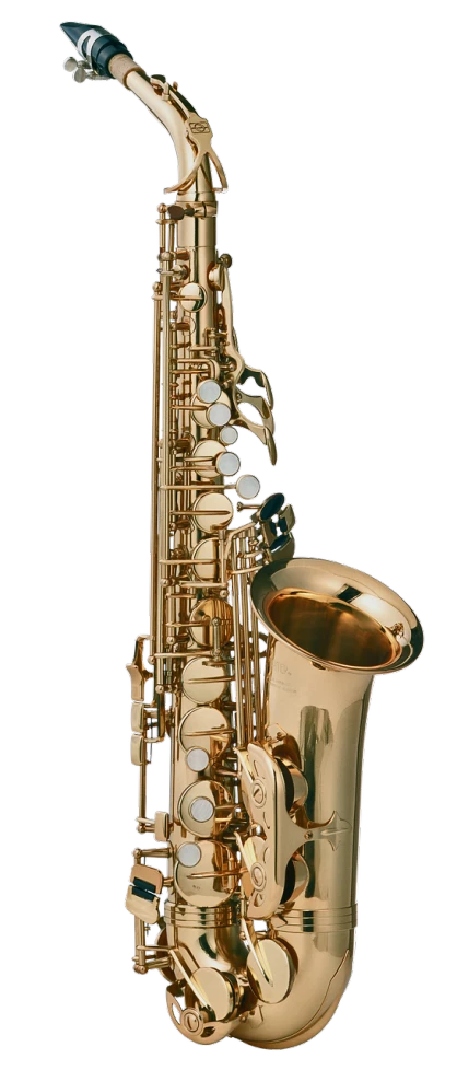 an alto alto alto alto alto alto alto alto alto alto alto alto alto alto alto alto alto, by Leo Goetz, pixabay, real saxophones, front side views full, professional high quality scan, on a black background