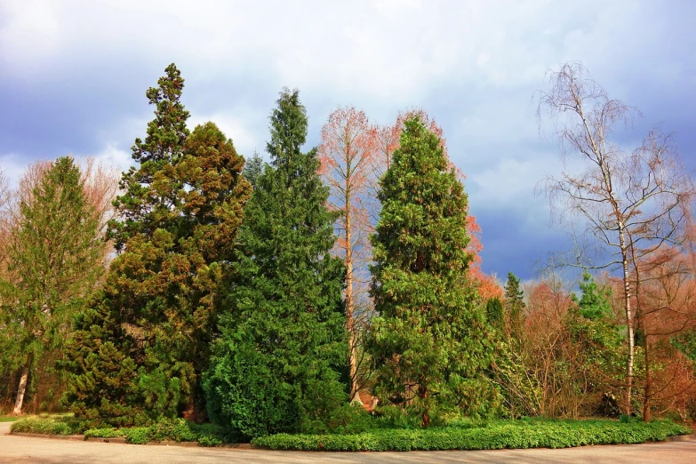 a red fire hydrant sitting in the middle of a park, by Peter Prendergast, romanticism, redwood sequoia trees, panorama, overcast, four seasons