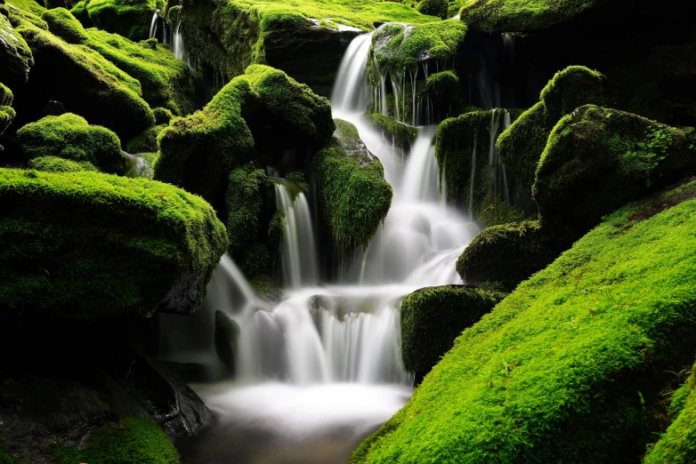 a small waterfall running through a lush green forest, a tilt shift photo, by Tadashige Ono, shutterstock, shin hanga, grassy stones, gunma prefecture, beautiful avatar pictures, green flush moss