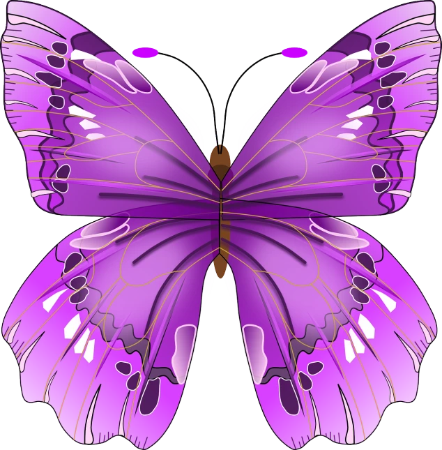 a purple butterfly on a white background, shutterstock, art nouveau, frontal realistic, vector images, full body; front view, magenta colours