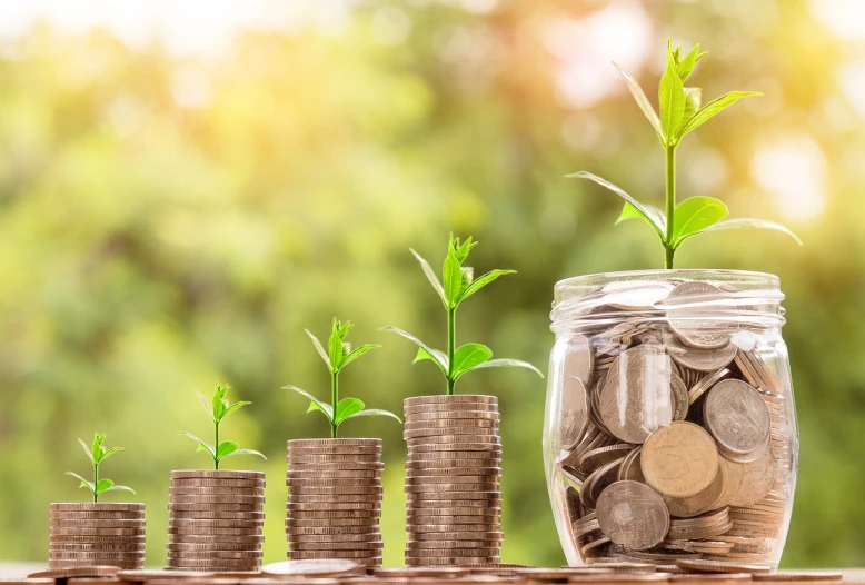 a jar filled with coins and a plant growing out of it, by Ivan Mrkvička, pixabay, modernism, banknotes flying from barrel, pots with plants, 🦩🪐🐞👩🏻🦳, group photo