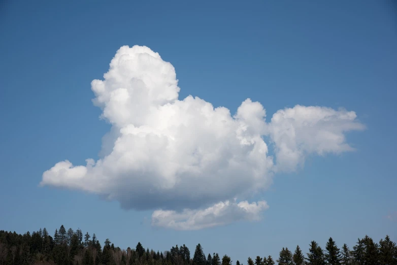 a large white cloud in the middle of a blue sky, figuration libre, forest on the horizont, profile close-up view, ( few clouds ), above side view