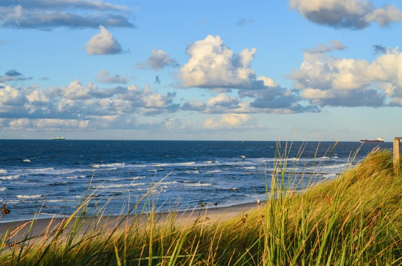 a bench sitting on top of a grass covered beach next to the ocean, by Niko Henrichon, pixabay, majestic dunes, late summer evening, roaring ocean in front, partly cloudy day