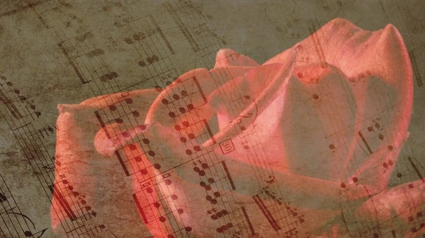 a rose sitting on top of a sheet of music, digital art, by Anna Füssli, coherent hands, soft red lights, detail, frida castelli
