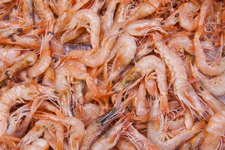 a pile of shrimp sitting on top of a table, a stock photo, by Francisco de Holanda, shutterstock, bird view, high quality product image”