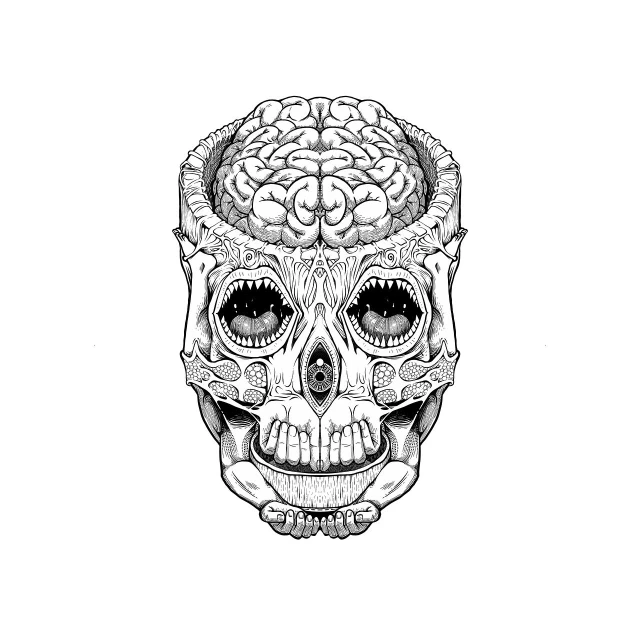 a black and white drawing of a human skull, a detailed drawing, by Adam Marczyński, featuring brains, opening third eye, big brain, symmetry illustration