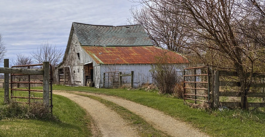 an old barn sitting on the side of a dirt road, a portrait, by Richard Carline, flickr, buffalo, photograph taken in 2 0 2 0, springtime, very very very detailed