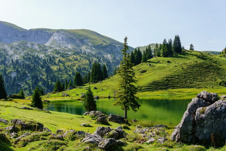 a body of water sitting on top of a lush green hillside, a picture, by Karl Gerstner, pexels, les nabis, alpine scenery, near pond, istock, well detailed