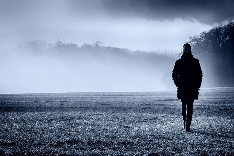 a black and white photo of a person standing in a field, by Mirko Rački, pixabay, romanticism, blue fog, lonely human walking, cold scene, blue atmosphere