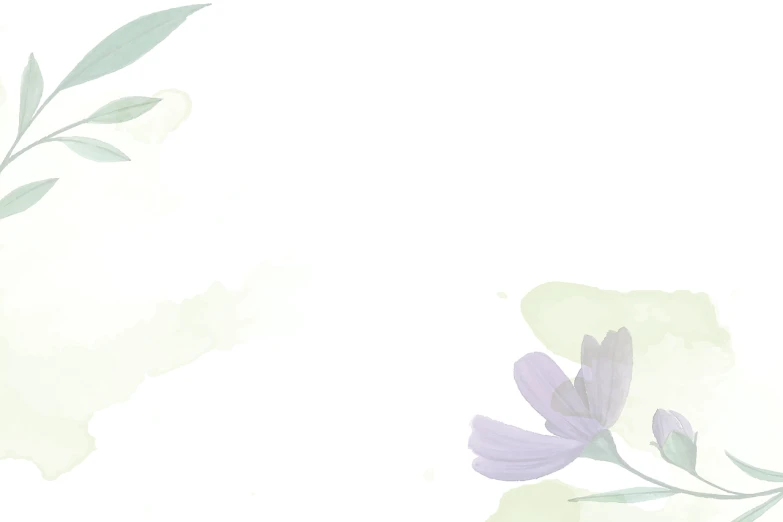 a watercolor painting of purple flowers on a white background, a picture, by Asai Chū, romanticism, resources background, pale green background, wall ], simple curvilinear watercolor