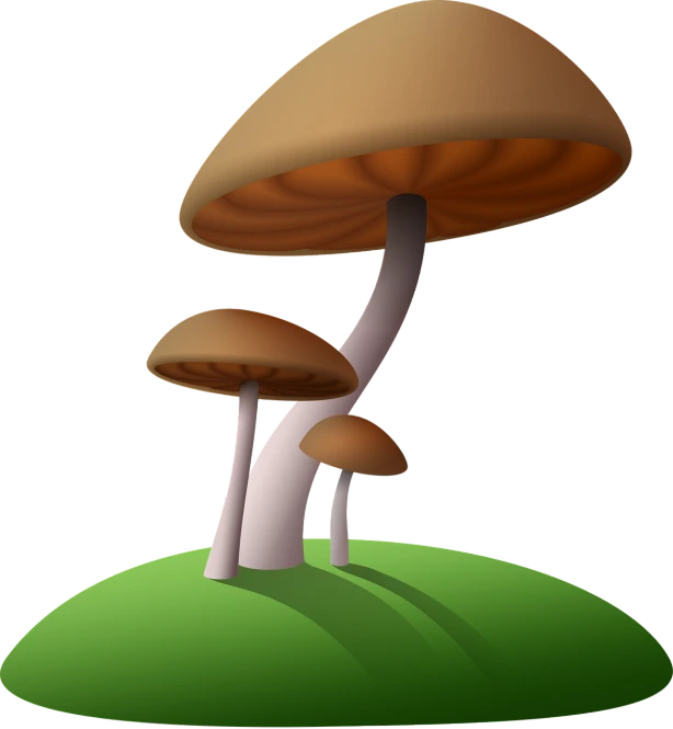 a group of mushrooms sitting on top of a lush green field, a raytraced image, by Ikuo Hirayama, mushroom cap, dark mushroom, 3 d vector, 7 0 s photo