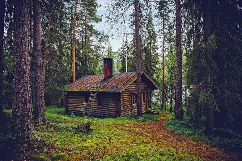 a log cabin sitting in the middle of a forest, a picture, by Jaakko Mattila, ((forest)), cottagecore!! fitness body, summer siberian forest taiga, varying locations