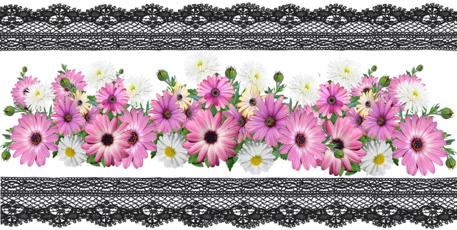 a bunch of pink and white flowers on a black background, a pastel, inspired by Susan Heidi, trending on pixabay, romanticism, detailed lacework, border pattern, daysies, garters