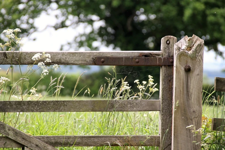 a close up of a wooden gate in a field, a picture, inspired by William Nicholson, field with grass and flowers, depth of field!, loosely cropped, summer setting