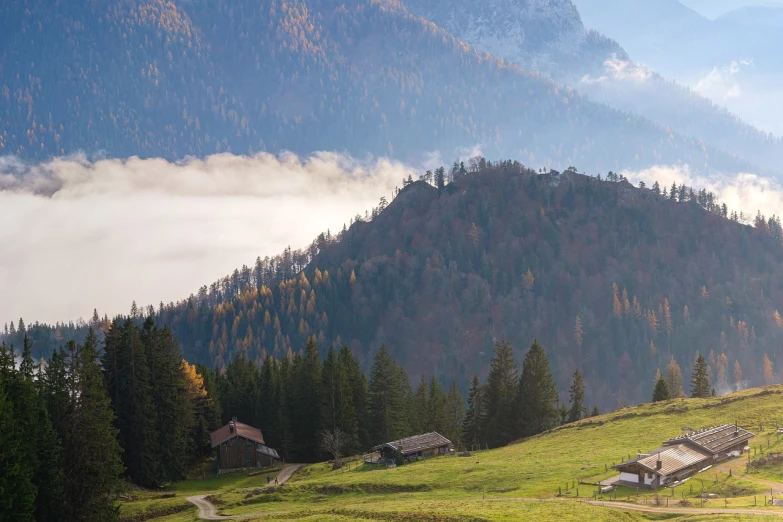 a herd of cattle grazing on top of a lush green hillside, a picture, by Franz Hegi, shutterstock, log cabin beneath the alps, muted fall colors, ground covered in mist, beautiful house on a forest path