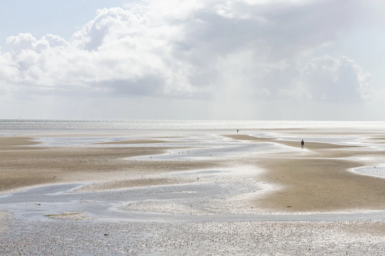 a couple of people standing on top of a sandy beach, by Michiel van Musscher, minimalism, the normandy landings, wikimedia commons, landscape wide shot, enamel