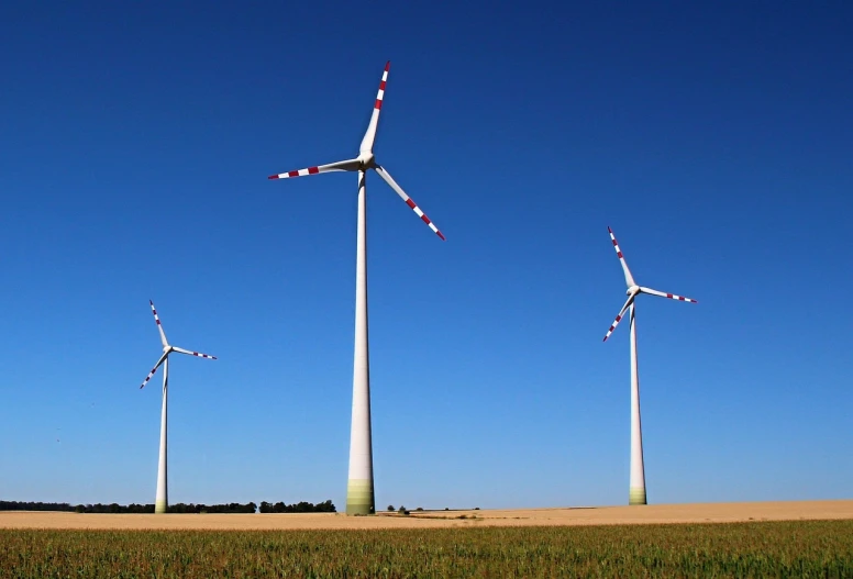 a group of wind turbines in a field, by Jürg Kreienbühl, shutterstock, wikimedia commons, high definition screenshot