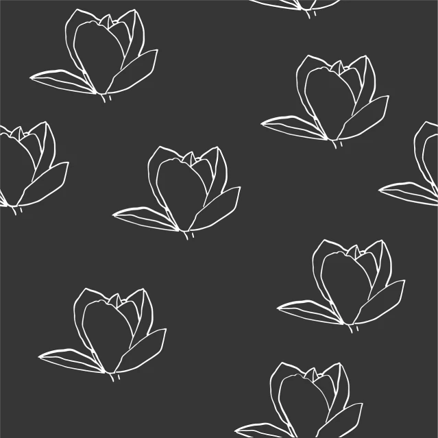 a bunch of white flowers on a black background, lineart, minimalism, tulips, background: assam tea garden, on a gray background, high quality screenshot