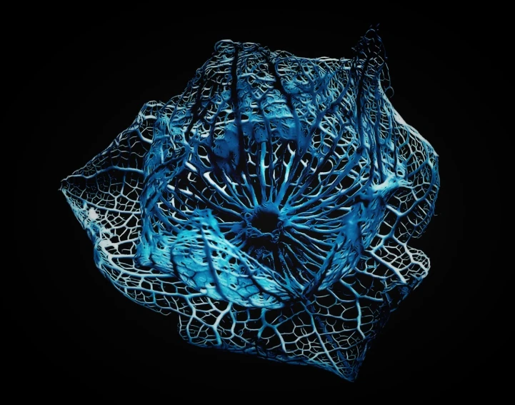 a close up of a blue flower on a black background, inspired by Earnst Haeckel, trending on zbrush central, digital art, transparent carapace, torn mesh, 8k octae render photo, organic form ”