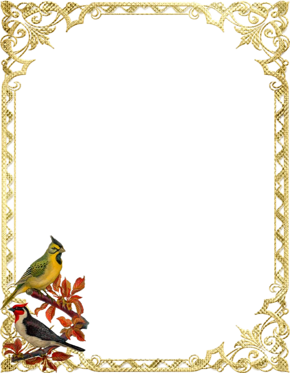 a gold frame with a bird sitting on a branch, inspired by Walter Crane, cg society contest winner, baroque, background ( dark _ smokiness ), borders, parrot, autumn