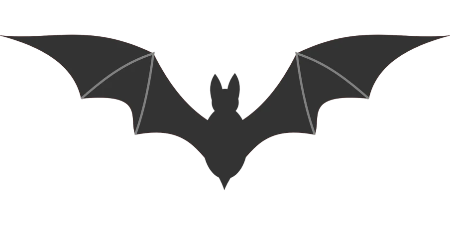 a silhouette of a bat on a black background, pixabay, sōsaku hanga, symmetrical dragon wings, attached to wires. dark, ( ( dithered ) ), high res photo