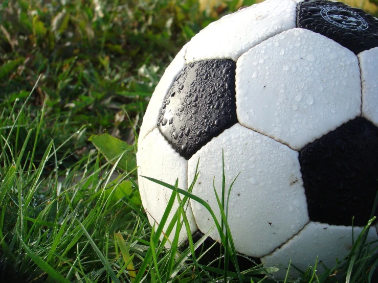 a close up of a soccer ball in the grass, by Christen Dalsgaard, very wet, wallpaper!, old school, wallpaper”