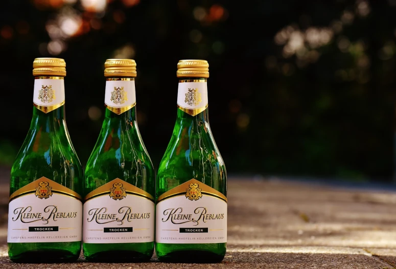 three bottles of beer sitting next to each other, a picture, by Slava Raškaj, pixabay, renaissance, an elegant green, shot on kodak vision 200t, product placement, reina rocin