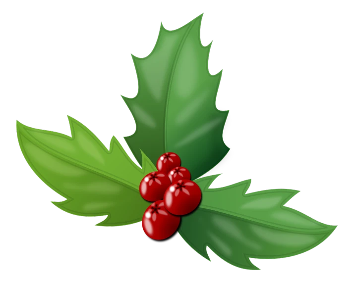 a holly branch with red berries and green leaves, a digital rendering, by Harold Elliott, on a black background, symbol, presents, so cute