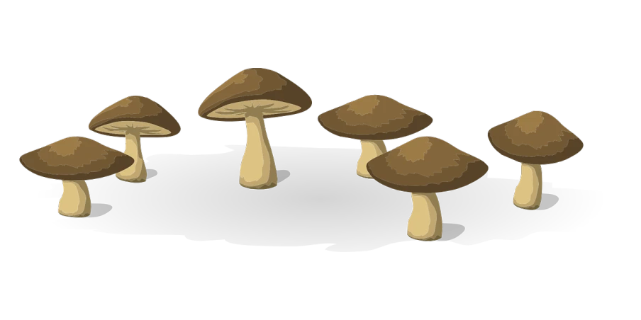 a group of mushrooms on a black background, concept art, by Andrei Kolkoutine, polycount, conceptual art, visual novel sprite, ( ( dithered ) ), stereogram, teemo