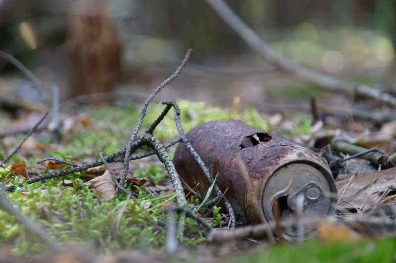 a can that is sitting in the grass, by Slava Raškaj, unsplash, environmental art, in a spooky forest, artillery bombings, mechanical spider legs, radioactive wasteland