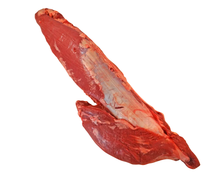 a piece of meat sitting on top of a piece of meat, by Thomas de Keyser, featured on zbrush central, underside of a fox paw, full - view, donkey ears, ca. 2001