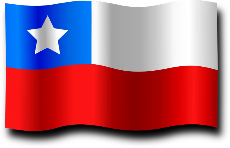 a texas flag waving in the wind, by Francisco de Holanda, digital art, chilean, line vector art, taiwan, server