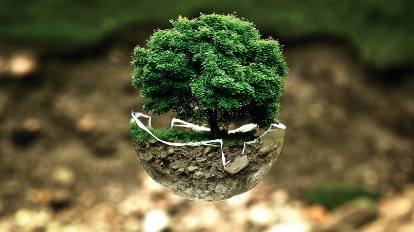 a small tree sitting on top of a rock, a picture, environmental art, inside a globe, floating in the air, trees in the background, bioremediation