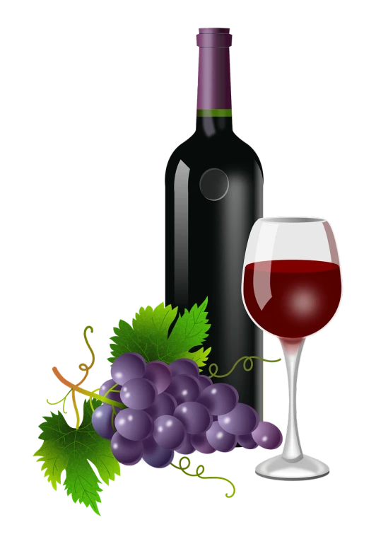 a bottle of wine and a glass of wine, a digital rendering, by Robbie Trevino, pixabay contest winner, renaissance, vector design, grapes, black, full - view