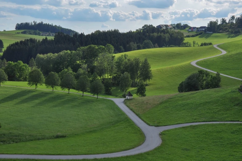 a winding road in the middle of a lush green field, by Hans Schwarz, flickr, trees in the grassy hills, zenithal view, uncropped, comfort